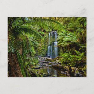Forces Beauchamp Falls Australia Briefkaart