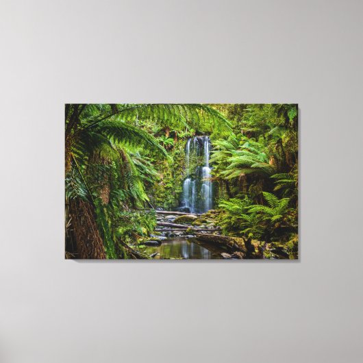 Forces Beauchamp Falls Australia Canvas Afdruk (Voorkant)