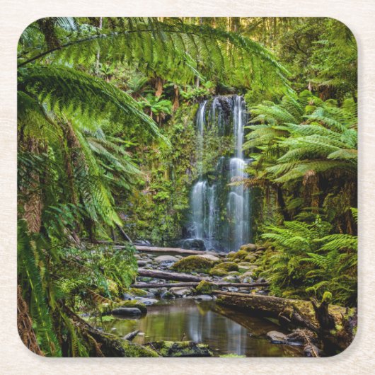 Forces Beauchamp Falls Australia Kartonnen Onderzetters (Voorkant)