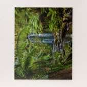 Forces Beauchamp Falls Australia Legpuzzel (Verticaal)