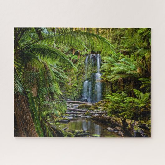 Forces Beauchamp Falls Australia Legpuzzel (Horizontaal)
