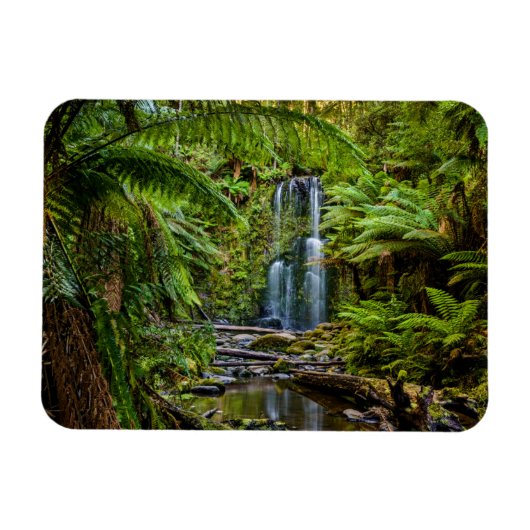 Forces Beauchamp Falls Australia Magneet (Horizontaal)