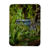 Forces Beauchamp Falls Australia Magneet (Verticaal)