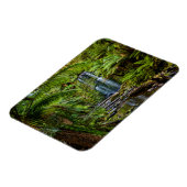 Forces Beauchamp Falls Australia Magneet (Linkerzijde)