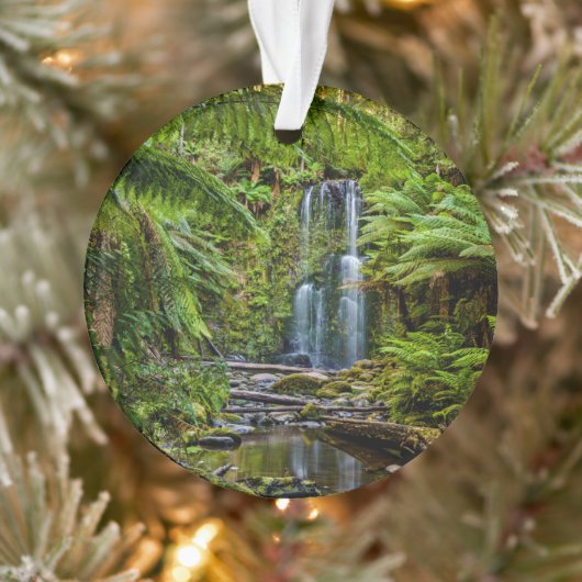Forces Beauchamp Falls Australia Ornament (Boom)