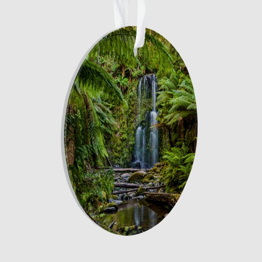 Forces Beauchamp Falls Australia Ornament (voorkant)