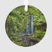 Forces Beauchamp Falls Australia Ornament (achterkant)