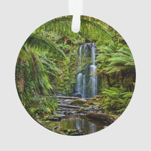 Forces Beauchamp Falls Australia Ornament (achterkant)