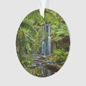 Forces Beauchamp Falls Australia Ornament (voorkant)