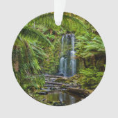 Forces Beauchamp Falls Australia Ornament (voorkant)