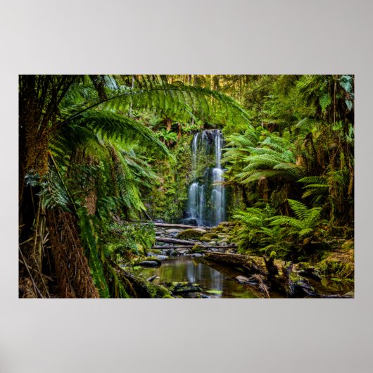 Forces Beauchamp Falls Australia Poster (Voorkant)