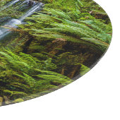 Forces Beauchamp Falls Australia Snijplank (Hoek)