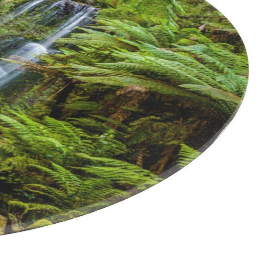 Forces Beauchamp Falls Australia Snijplank (Hoek)