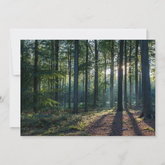 Forces | Black Forest Germany Bedankkaart (Voorkant)
