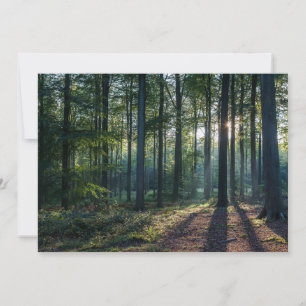 Forces   Black Forest Germany Bedankkaart