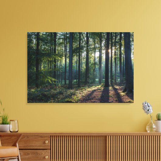 Forces | Black Forest Germany Canvas Afdruk (Insitu (Woonkamer))