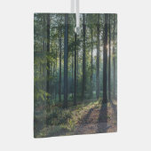 Forces | Black Forest Germany Glas Ornament (Voorkant Rechts)