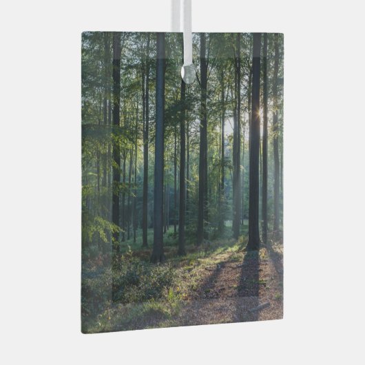 Forces | Black Forest Germany Glas Ornament (Voorkant Rechts)