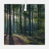 Forces | Black Forest Germany Glas Ornament (Achterkant)