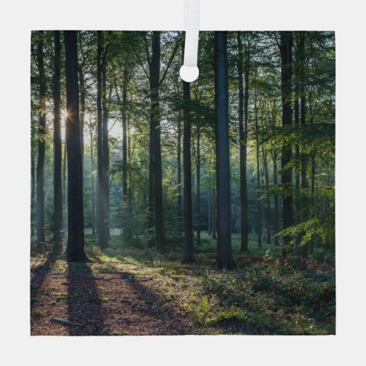 Forces | Black Forest Germany Glas Ornament (Achterkant)