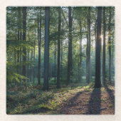 Forces | Black Forest Germany Glazen Onderzetter (Voorkant)