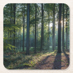Forces Black Forest Germany Kartonnen Onderzetters