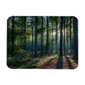 Forces | Black Forest Germany Magneet (Horizontaal)