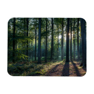 Forces Black Forest Germany Magneet