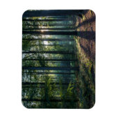 Forces | Black Forest Germany Magneet (Verticaal)