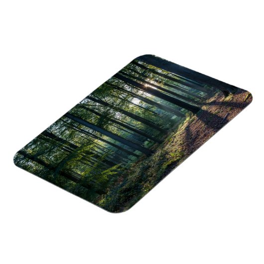 Forces | Black Forest Germany Magneet (Linkerzijde)