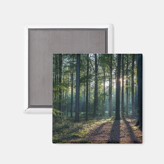 Forces | Black Forest Germany Magneet (Voorkant / Achterkant)