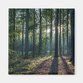 Forces | Black Forest Germany Magneet (Voorkant)