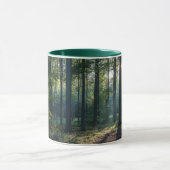 Forces | Black Forest Germany Mok (Midden)