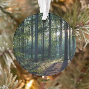 Forces Black Forest Germany Ornament
