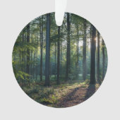 Forces | Black Forest Germany Ornament (voorkant)