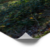 Forces | Black Forest Germany Poster (Hoek)