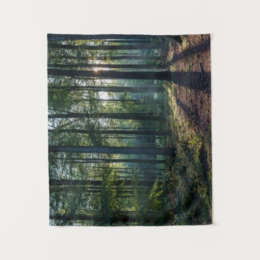 Forces | Black Forest Germany Wandkleed (Voorkant)