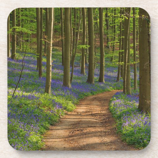 Forces Bluebell Forest in België Bier Onderzetter (Voorkant)