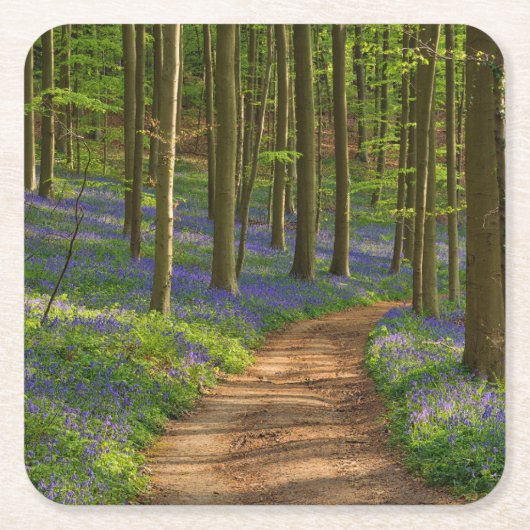 Forces Bluebell Forest in België Kartonnen Onderzetters (Voorkant)