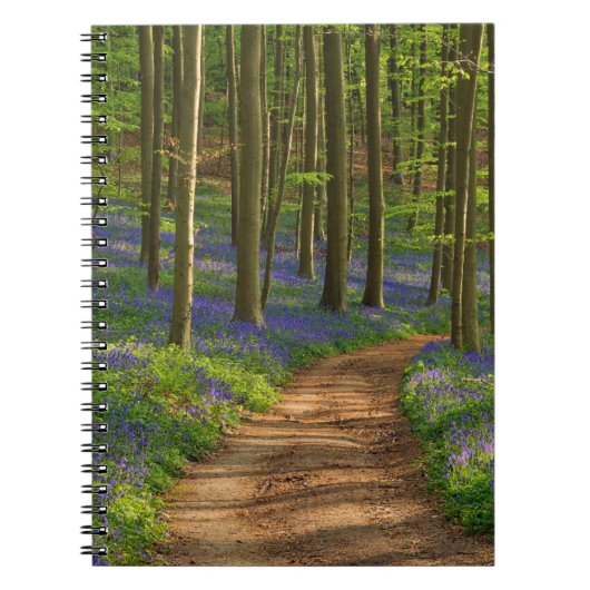 Forces Bluebell Forest in België Notitieboek (Voorkant)