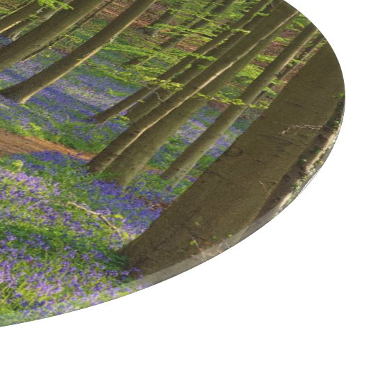 Forces Bluebell Forest in België Snijplank (Hoek)