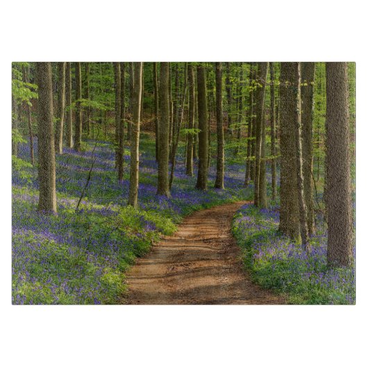 Forces Bluebell Forest in België Snijplank (Voorkant)