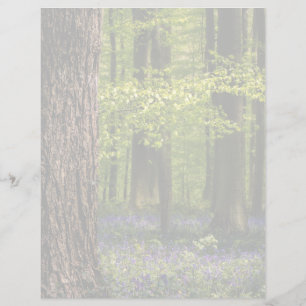 Forces Bluebells in België
