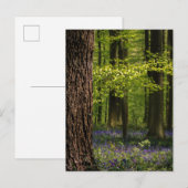 Forces Bluebells in België Briefkaart (Voorkant / Achterkant)