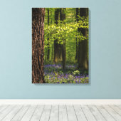 Forces Bluebells in België Canvas Afdruk (Insitu (Houten vloer))