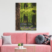 Forces Bluebells in België Canvas Afdruk (Insitu (Woonkamer))