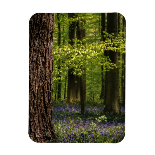 Forces Bluebells in België Magneet (Verticaal)