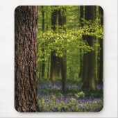 Forces Bluebells in België Muismat (Voorkant)