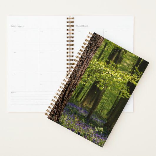 Forces Bluebells in België Planner (Display)