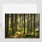 Forces | Boreal Forest Sweden Bedankkaart (Voorkant / Achterkant)